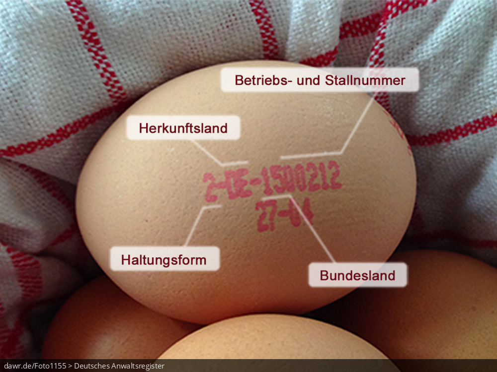 Dieses Foto zeigt ein handelsübliches Hühnerei, auf dem mit Beschriftungen die Bedeutung des Herkunftsstempel (Eierkennzeichnung) erläutert wird.