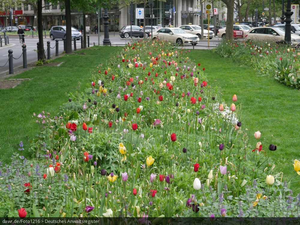 Dieses Foto zeigt einen begrünten Platz in einer Stadt mit einer Wiese und verschiedenen Blumen. Im Hintergrund sieht man eine Straßenkreuzung mit verschiedenen Kraftfahrzeugen und einer Bushaltestelle.