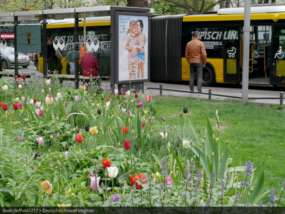 Dieses Foto zeigt eine grüne Wiese mit verschiedenen Blumen in einem städtischen Umfeld. Im Hintergrund sieht man eine Bushaltestelle, an der gerade ein Linienbus hält.