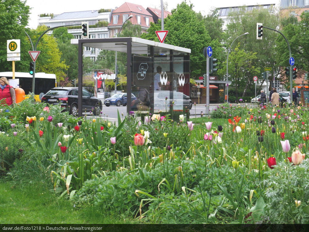 Dieses Foto zeigt eine grüne Wiese mit verschiedenen Blumen in einem städtischen Umfeld. Im Hintergrund sieht man eine Straßenkreuzung mit einer Bushaltestelle.