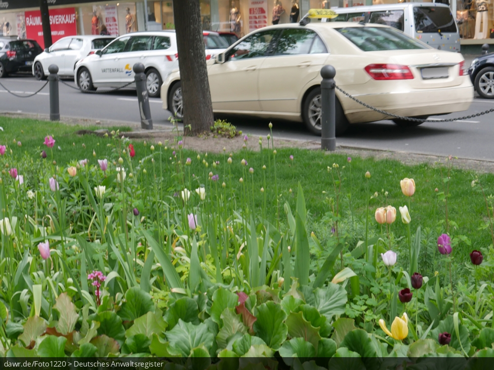 Dieses Foto zeigt eine grüne Wiese mit verschiedenen Blumen in einem städtischen Umfeld. Im Hintergrund sieht man eine Straße mit einem Taxi und anderen Kraftfahrzeugen.