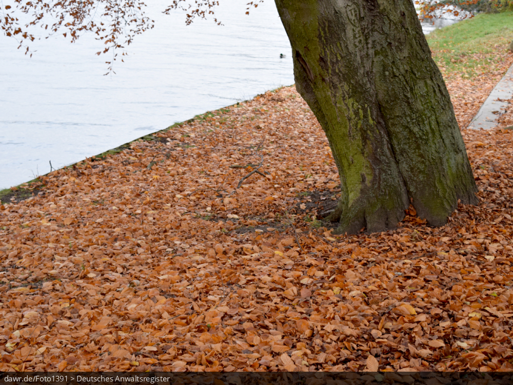 Dieses Foto zeigt einen Park mit bunten Blättern und eignet sich gut als symbolische Darstellung der Jahreszeit Herbst.