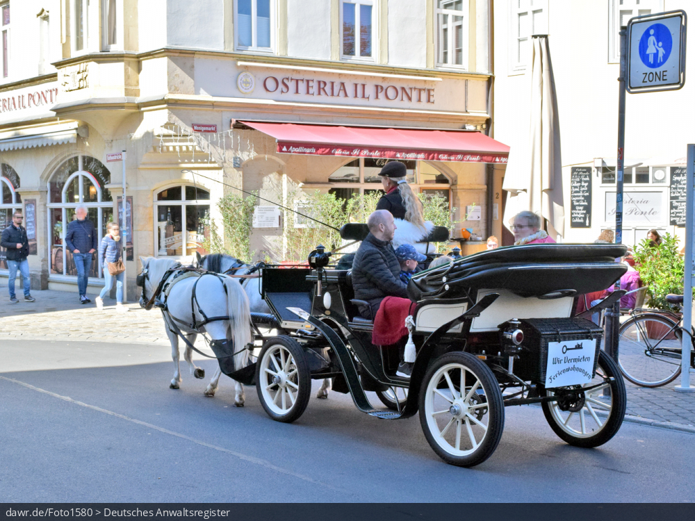 Dieses Foto zeigt eine Pferdekutsche, mit der Touristen sich die Sehenswürdigkeit einer Stadt ansehen können. Der Einsatz von Pferden in Innenstädten ist schon lange umstritten, da die Tiere unnötigem Stress ausgesetzt werden. Diese Darstellung kann als Illustration für Themen des Tierschutzes oder der Tourismusförderung gut geeignet sein.