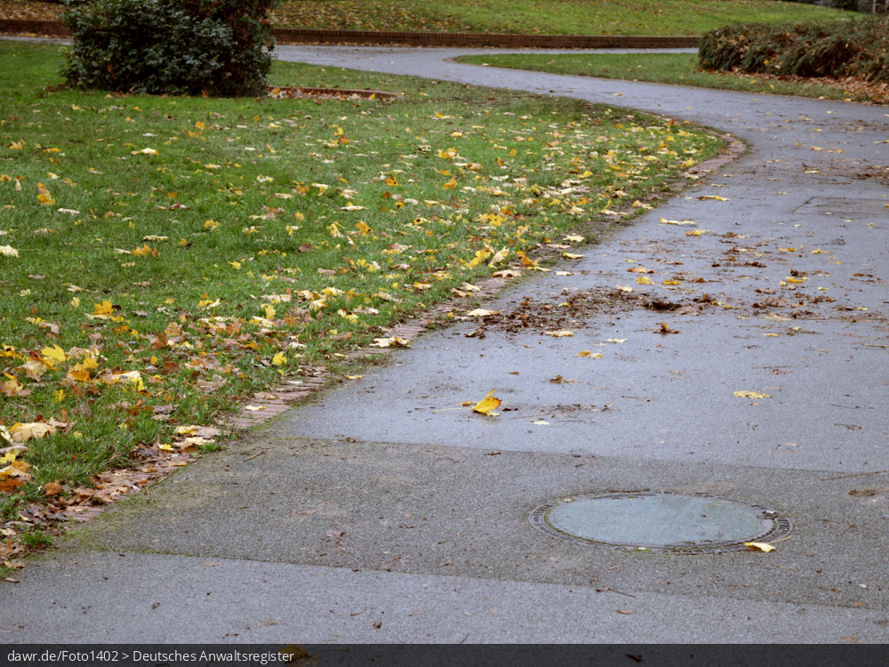 Dieses Foto zeigt Laub in einem Park und eignet sich gut als symbolische Darstellung der Jahreszeit Herbst.