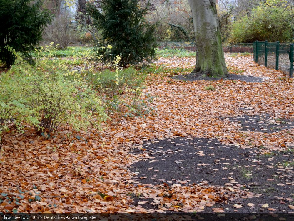 Dieses Foto zeigt Laub in einem Park und eignet sich gut als symbolische Darstellung der Jahreszeit Herbst.