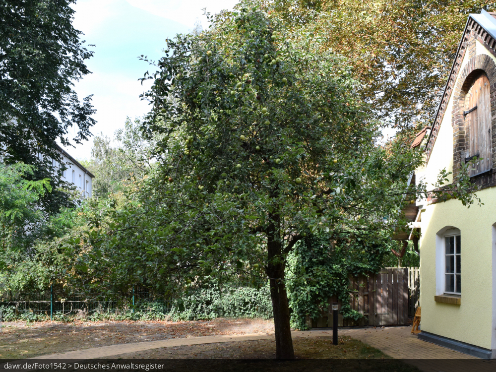 Dieses Foto zeigt einen Apfelbaum im Hof eines Mehrfamilienhauses. Obstbäume können auch Gegenstand von Nachbarschaftsstreitigkeiten sein. Egal ob herabfallendes Obst oder das Pflücken von Früchten vom Baum des Nachbarn, wenn Äste über den Zaun ragen - der Möglichkiten sich zu streiten gibt es viele. In diesem Zusammen ist dieses Bild eine passende Illustration für alle Fragen im Zusammenhang mit solchen Nachbarschaftsstreitigkeiten. Dieses Foto zeigt einen Apfelbaum im Hof eines Mehrfamilienhauses. Obstbäume können auch Gegenstand von Nachbarschaftsstreitigkeiten sein. Egal ob herabfallendes Obst oder das Pflücken von Früchten vom Baum des Nachbarn, wenn Äste über den Zaun ragen - der Möglichkiten sich zu streiten gibt es viele. In diesem Zusammen ist dieses Bild eine passende Illustration für alle Fragen im Zusammenhang mit solchen Nachbarschaftsstreitigkeiten.