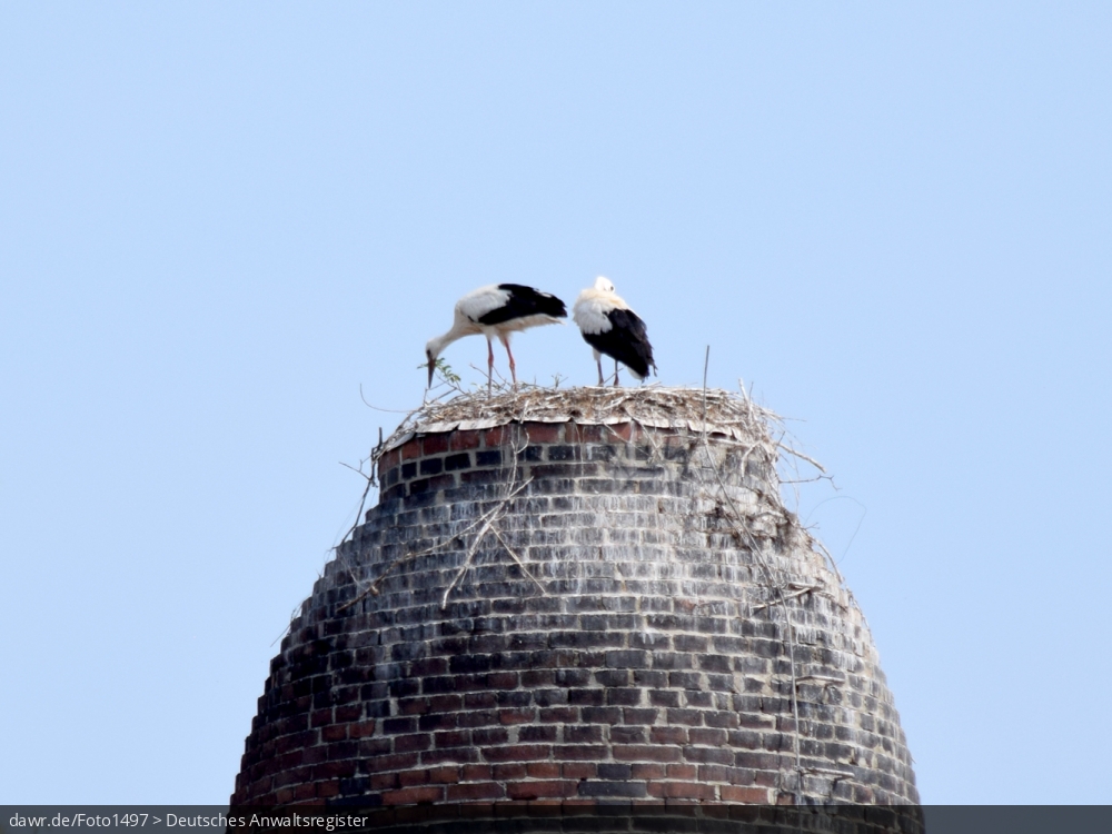 Dieses Foto zeigt einen alten Industrieturm mit einer kleinen Kuppel und einem Storchennest. In dem Nest sind zwei Störche zu sehen. Im rechtlichen Kontext eignet sich dieses Bild gut als Darstellung in Zusammenhang mit dem Thema Naturschutz.