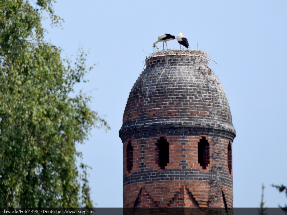 Dieses Foto zeigt einen alten Industrieturm mit einer kleinen Kuppel und einem Storchennest. In dem Nest sind zwei Störche zu sehen. Im rechtlichen Kontext eignet sich dieses Bild gut als Darstellung in Zusammenhang mit dem Thema Naturschutz.