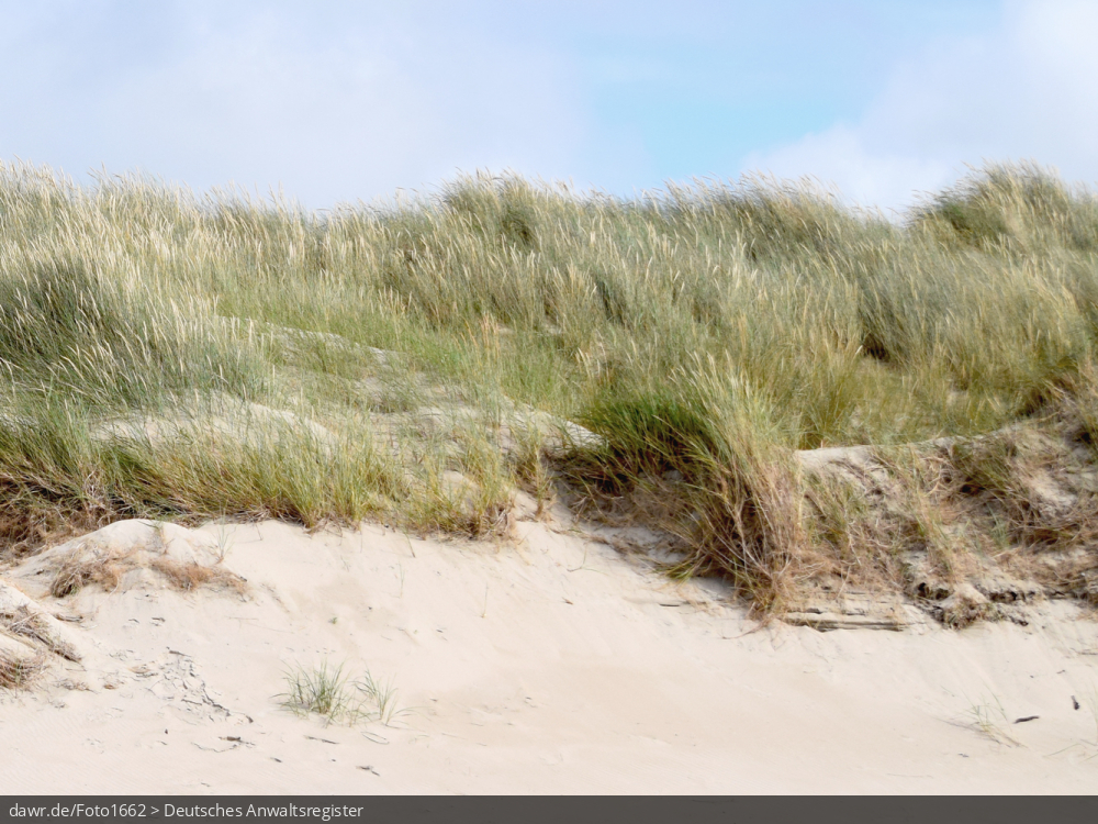 Dieses Bild zeigt eine Düne an einem Strand auf einer Nordseeinsel. Es eignet sich gut als symbolische Darstellung für Themen rund um das Thema Urlaub an der See.