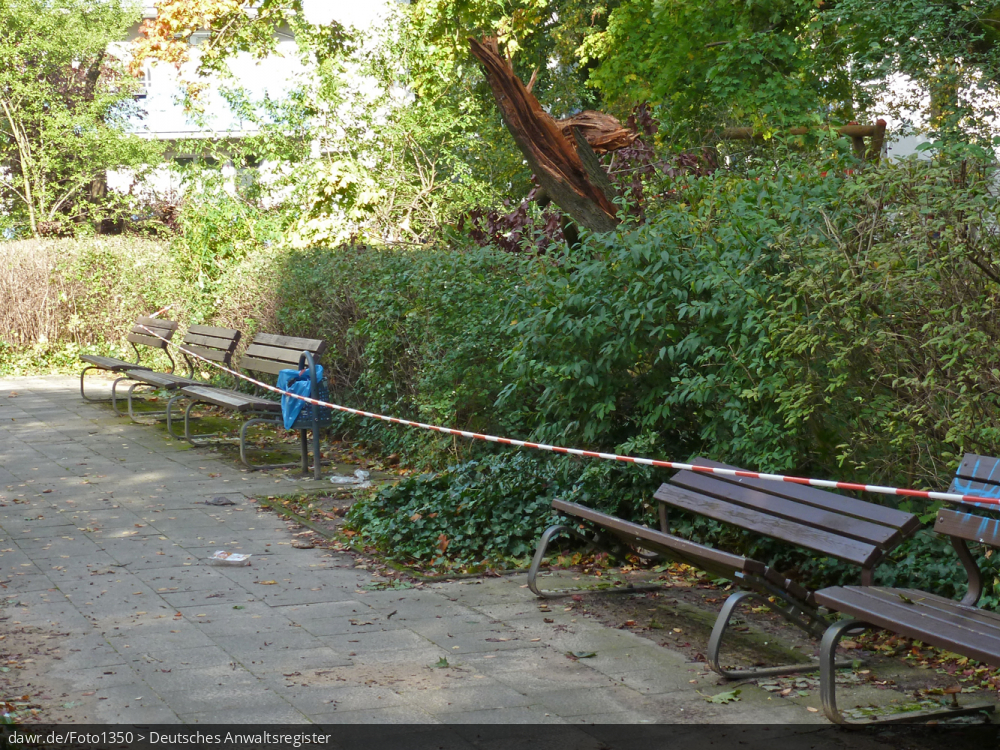 Dieses Foto zeigt einen umgeknickten Baum, der als Folge eines schweren Sturms, eine Parkbank zerstört hat. Dieses Bild ist gut als symbolische Darstellung für die Themen Unwetter, Sturm und Sturmschäden geeignet.