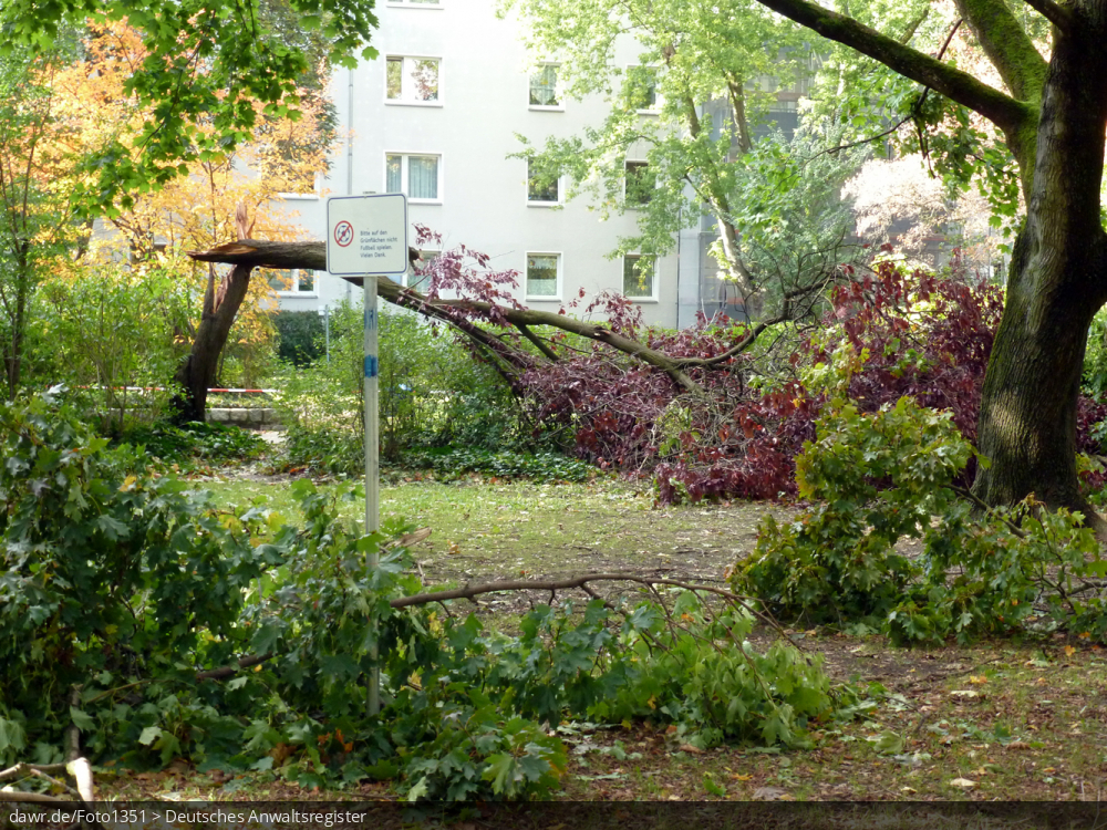 Dieses Foto zeigt einen umgeknickten Baum auf einem Spielplatz, als Folge eines schweren Sturms. Dieses Bild ist gut als symbolische Darstellung für die Themen Unwetter, Sturm und Sturmschäden geeignet.