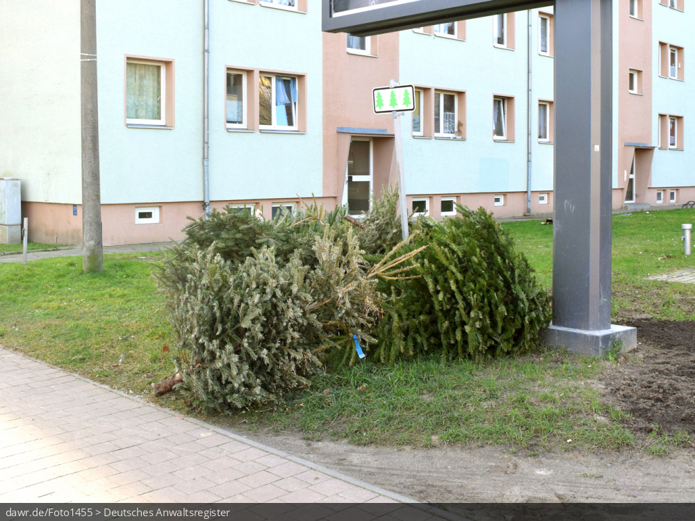 Dieses Foto zeigt einen Haufen von ausgedienten Weihnachtsbäumen kurz nach dem Fest an einem zentralen Sammelplatz, markiert durch ein spezielles Verkehrsschild. Einige Gemeinden richten solche Sammelplätze ein, wo die Tannenbäume nach dem Weihnachtsfest abzulegen sind, um eingesammelt und entsorgt bzw. verwertet zu werden. Andere Gemeinden sammeln die Bäume direkt am Straßenrand ein. Diese Abbildung eignet sich gut als symbolische Darstellung für die Themen Weihnachten und Weihnachtsschmuck bzw. Recycling und Müllverwertung.