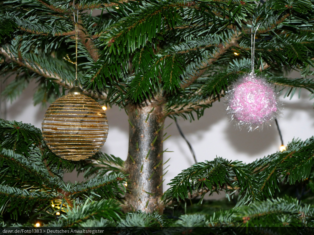 Dieses Foto zeigt zwei Weihnachtskugeln, wie sie an einem Weihnachtsbaum hängen. Diese Abbildung eignet sich gut als symbolische Darstellung für die Themen Weihnachten und Weihnachtsschmuck.