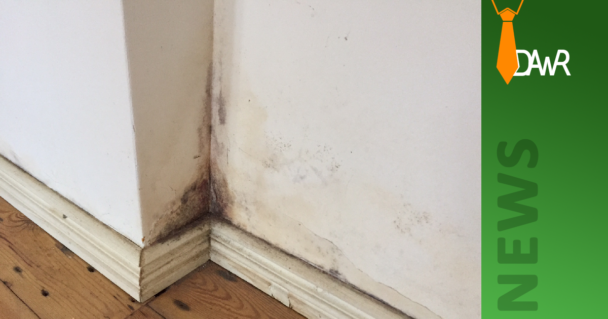 DAWR > Schimmel in der Wohnung: Wer trägt die Kosten für eine Feuchtigkeitsmessung oder einen ...